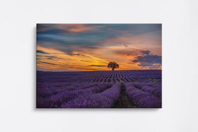 Tablouri Apusuri & Răsărituri