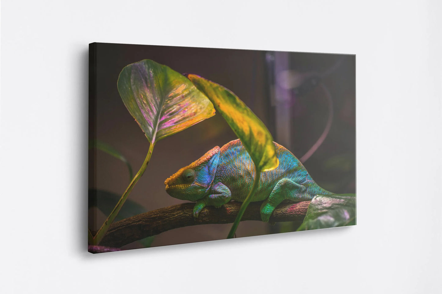 Tablou - Chameleon Serenity Vedere Lateral