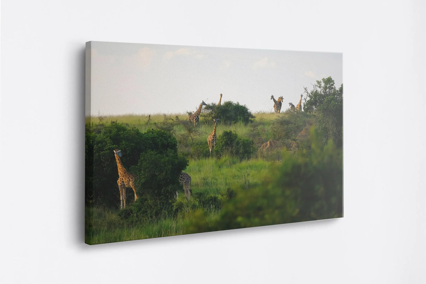 Tablou - Eleganță Safari Naturală Vedere Lateral