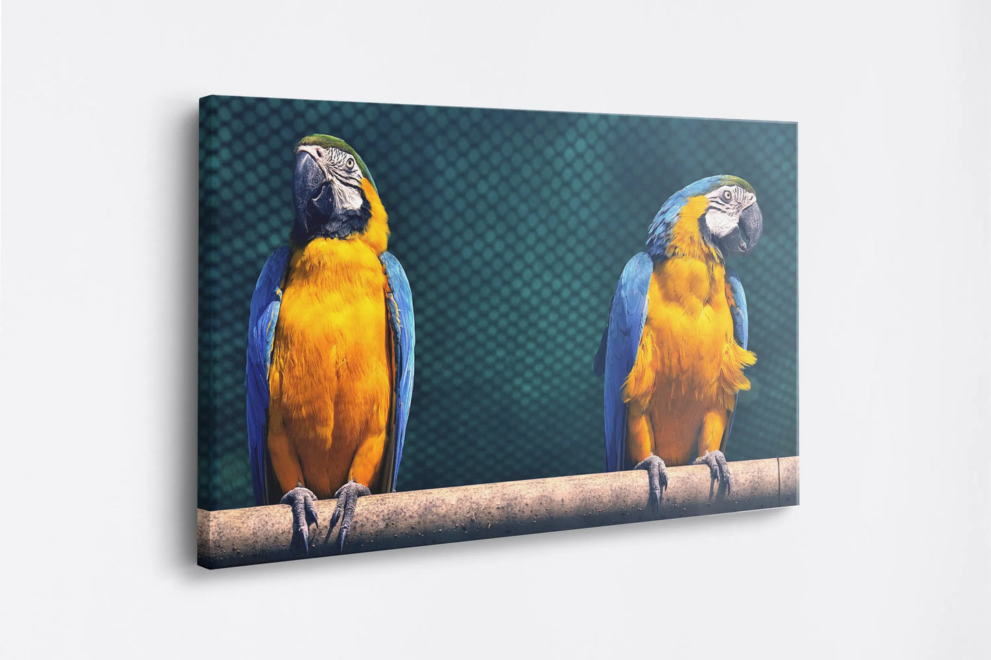 Tablou - Colorful Macaws Vedere Lateral