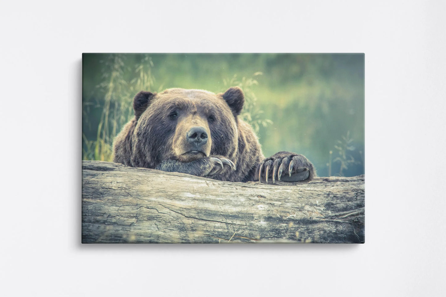 Tablou - Bear's Serenity Vedere Fata