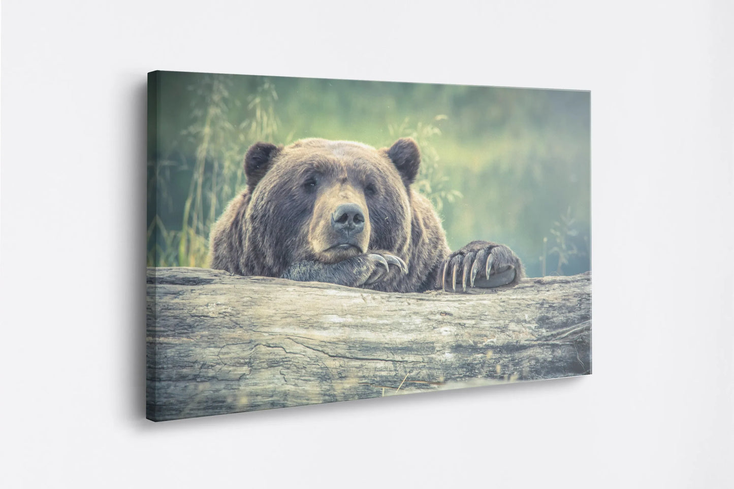 Tablou - Bear's Serenity Vedere Lateral