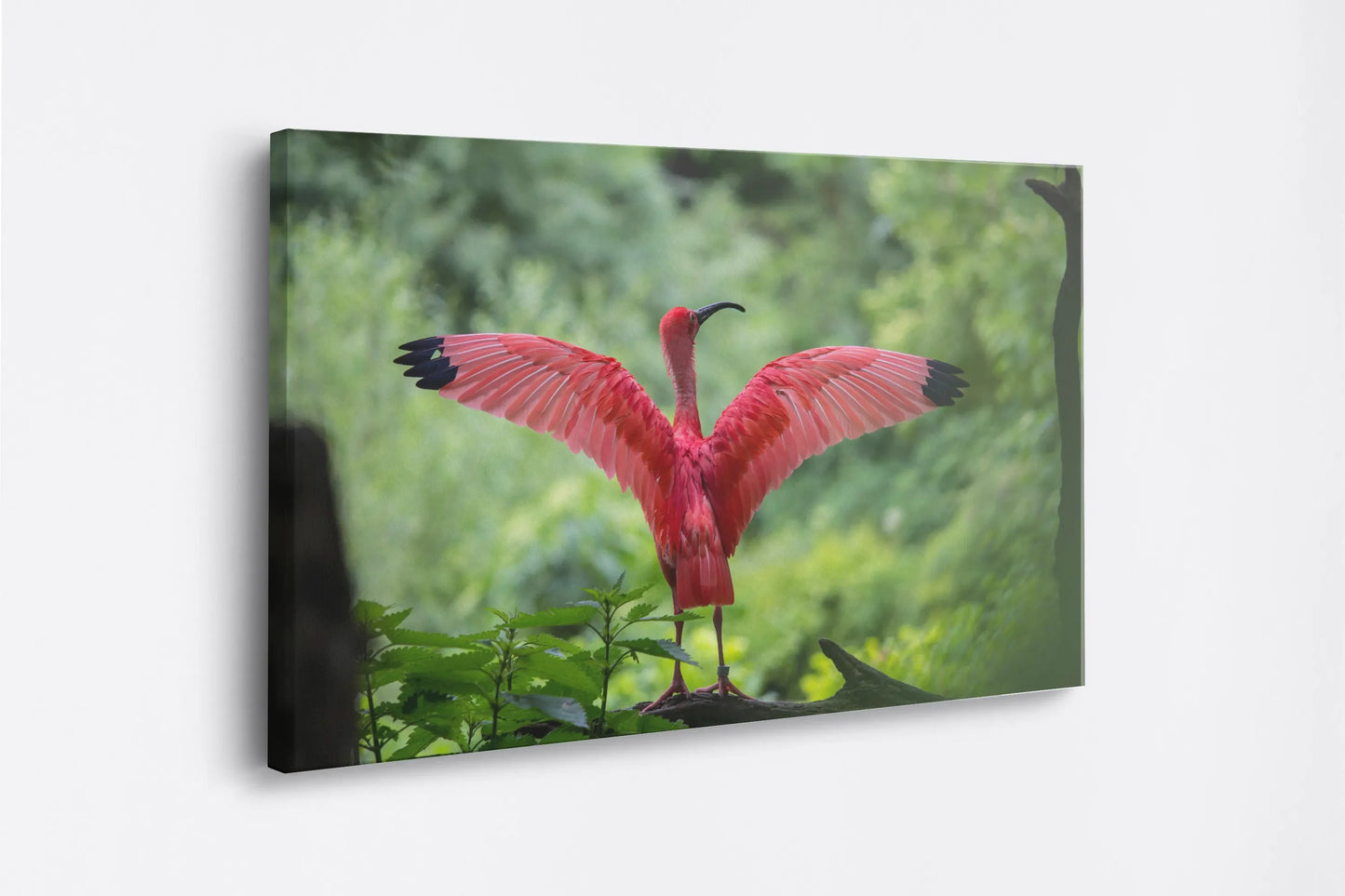 Tablou - Eleganță Flamingo Vedere Lateral