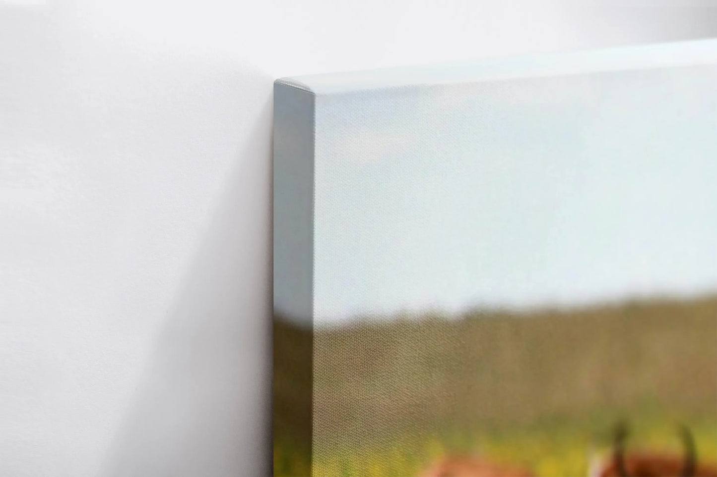 Tablou - Eleganță Naturală Vedere Colt