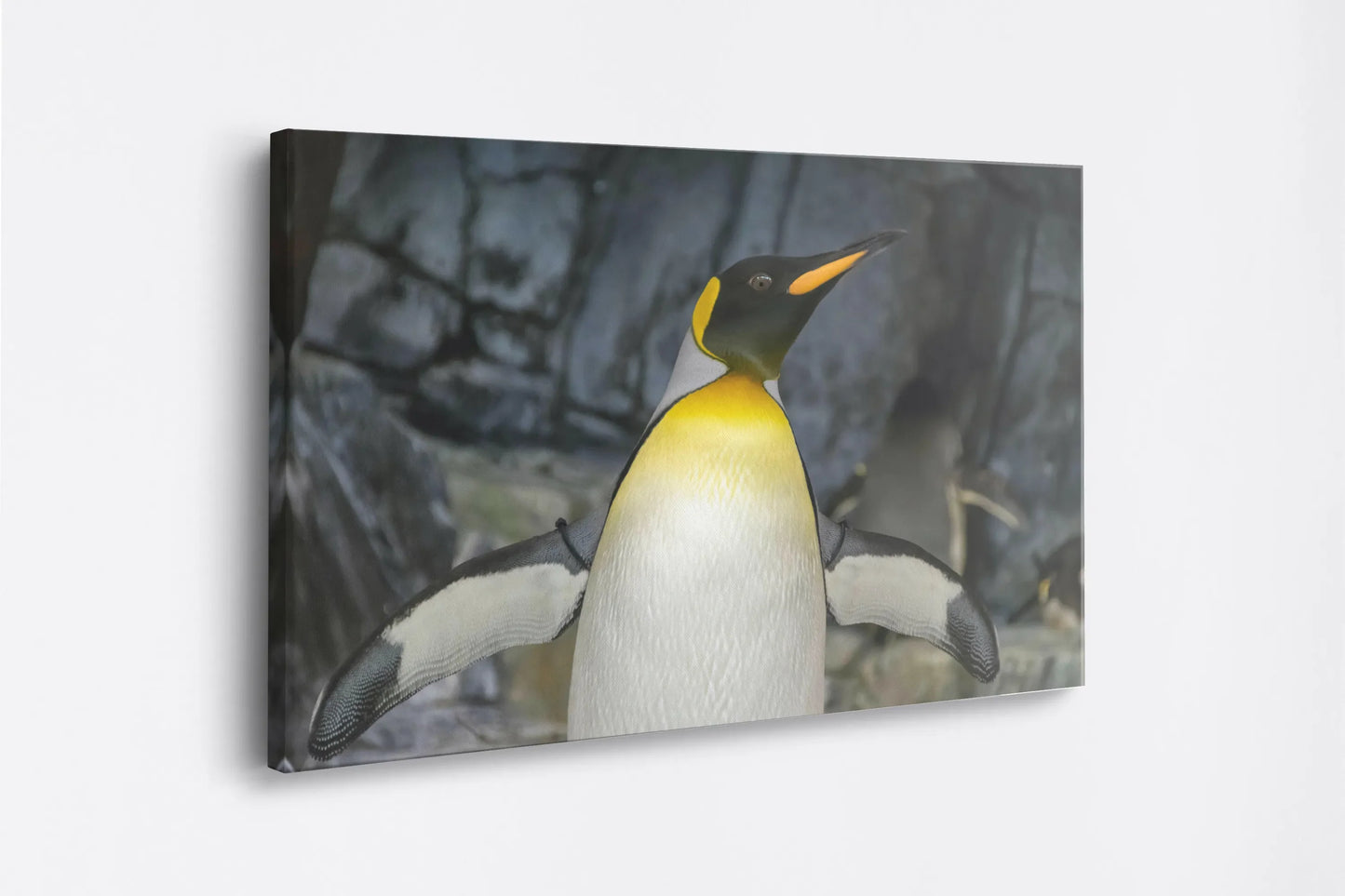 Tablou - Pinguin Regal Vedere Lateral