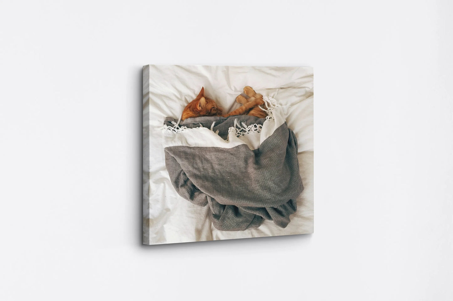 Tablou - Relaxare Acasă Vedere Lateral