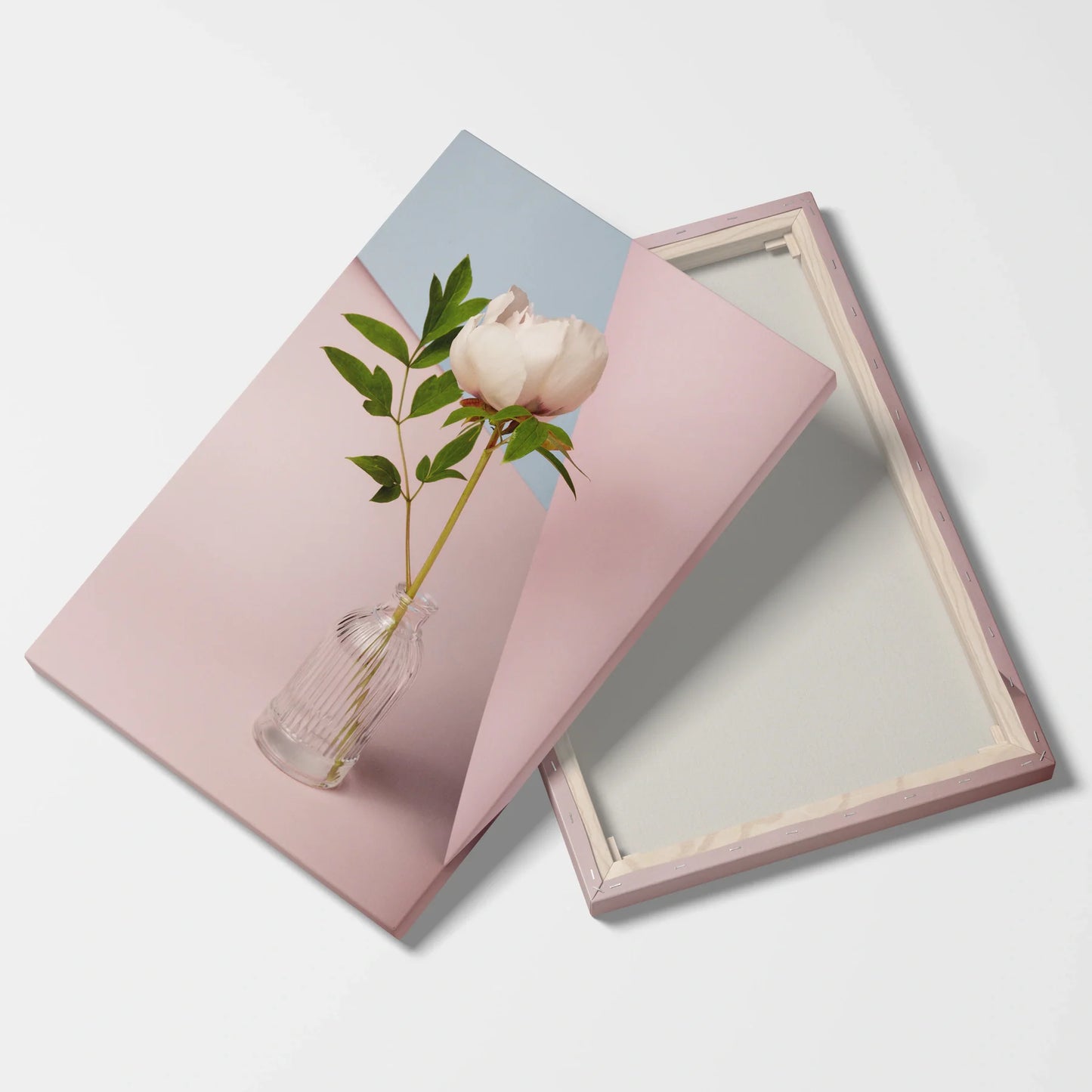 Tablou Flori - Bujori Eleganți Într-O Vază Modernă