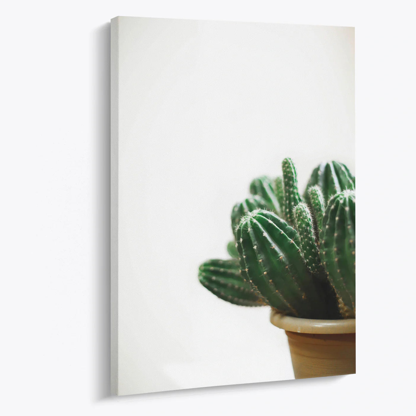 Tablou - Cactus Elegant Vedere Living