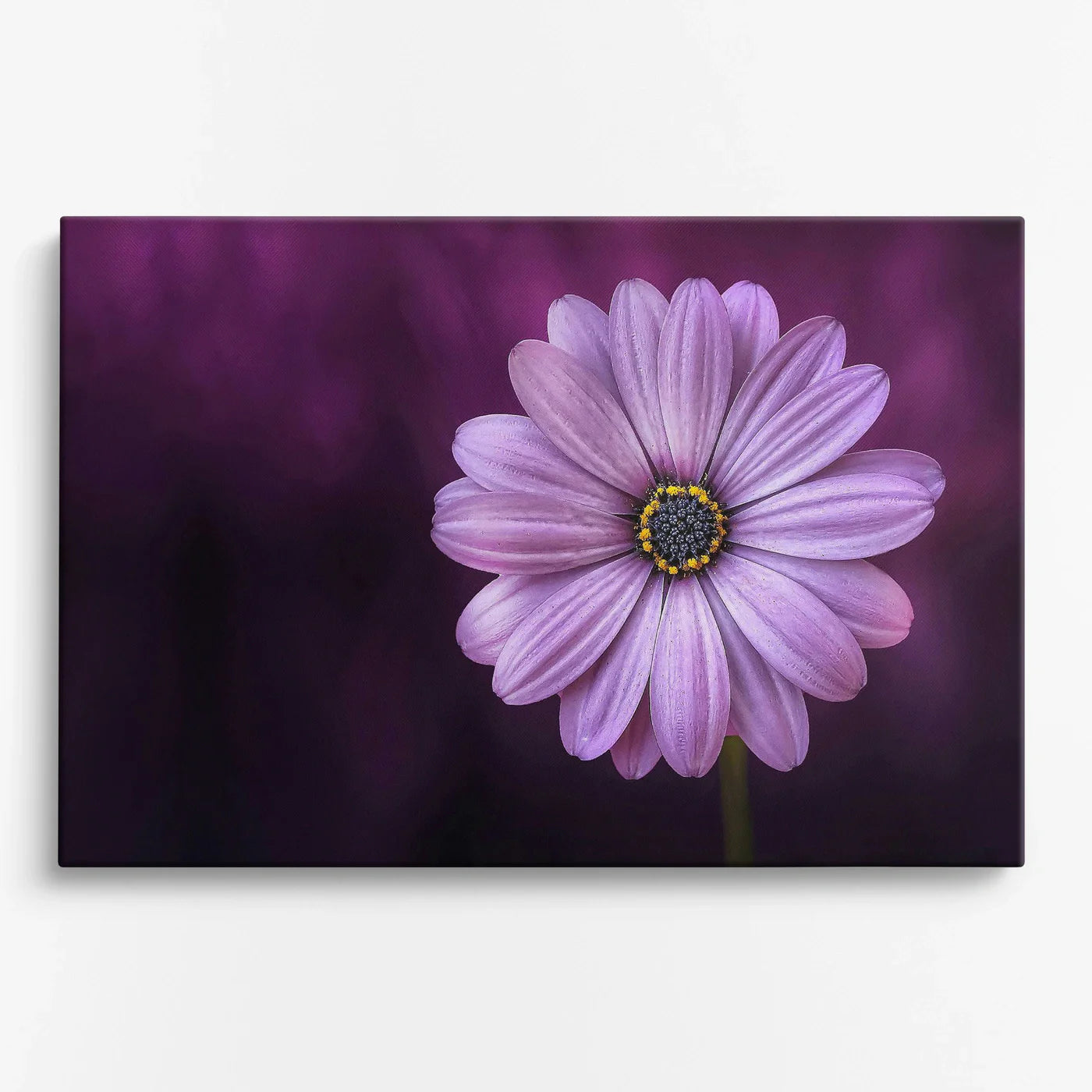 Tablou - Eleganță Florală Delicată Vedere Fata