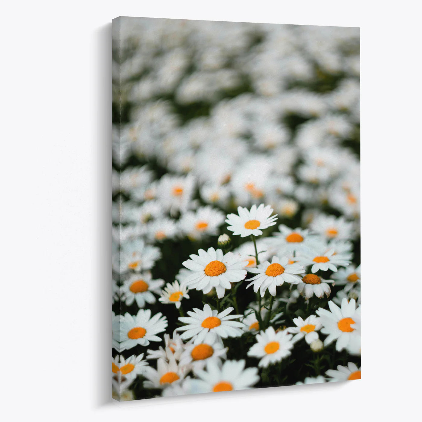 Tablou - Flori de Margine Vedere Living