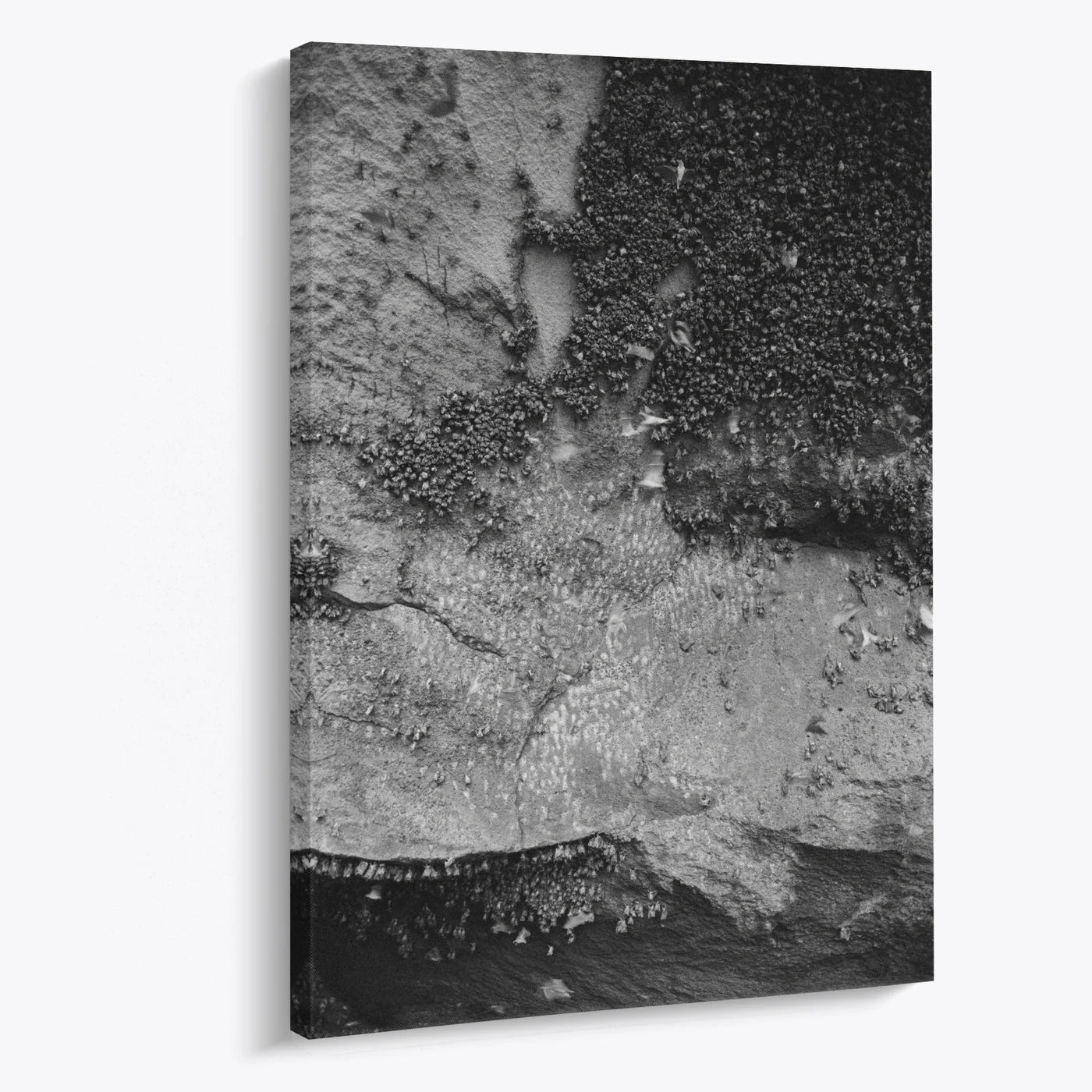 Tablou - Texturi Contrastante Vedere Living