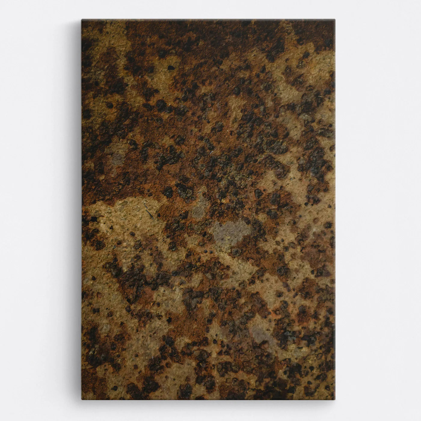 Tablou - Texturi Tăcute Vedere Fata