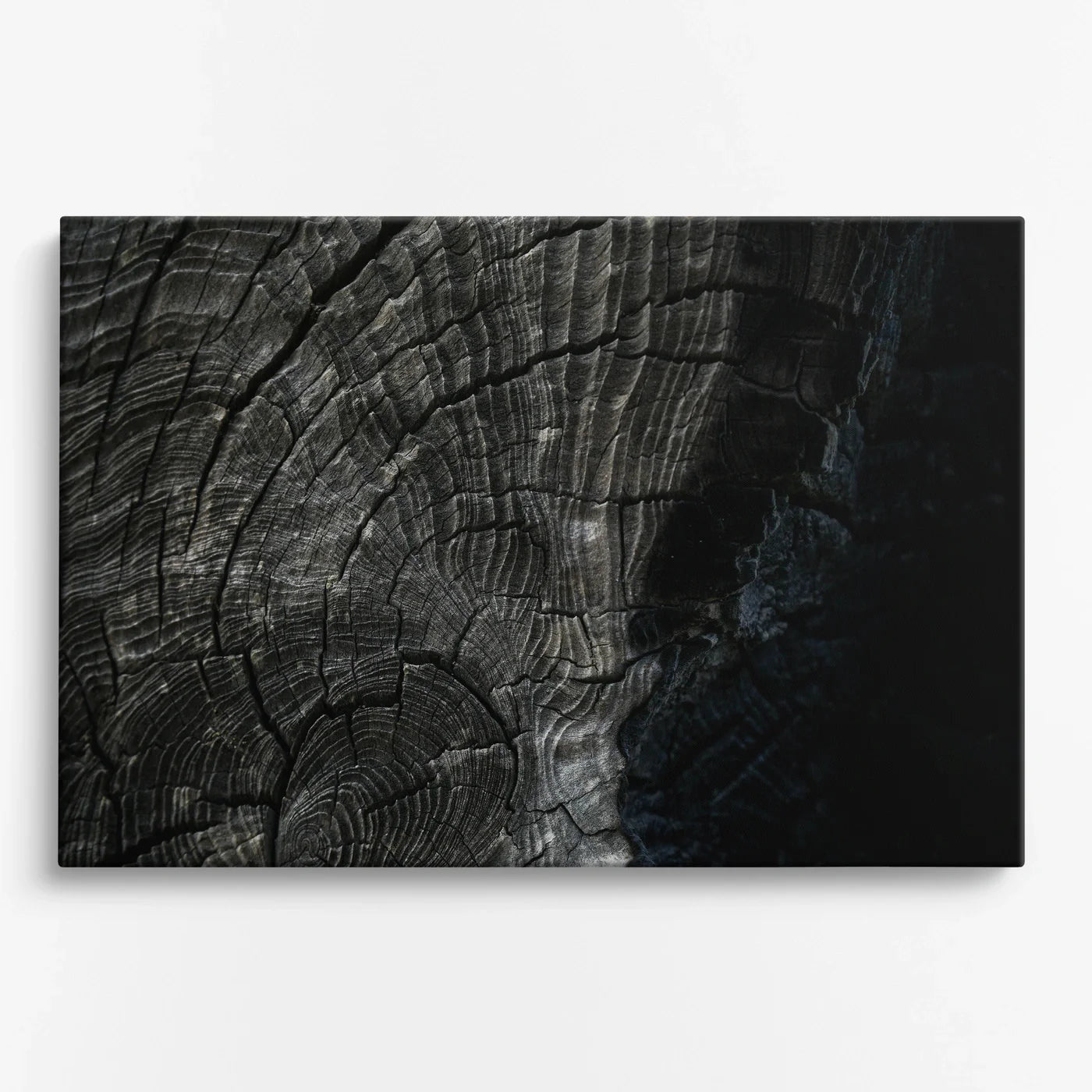Tablou - Textures Naturale Unice Vedere Fata