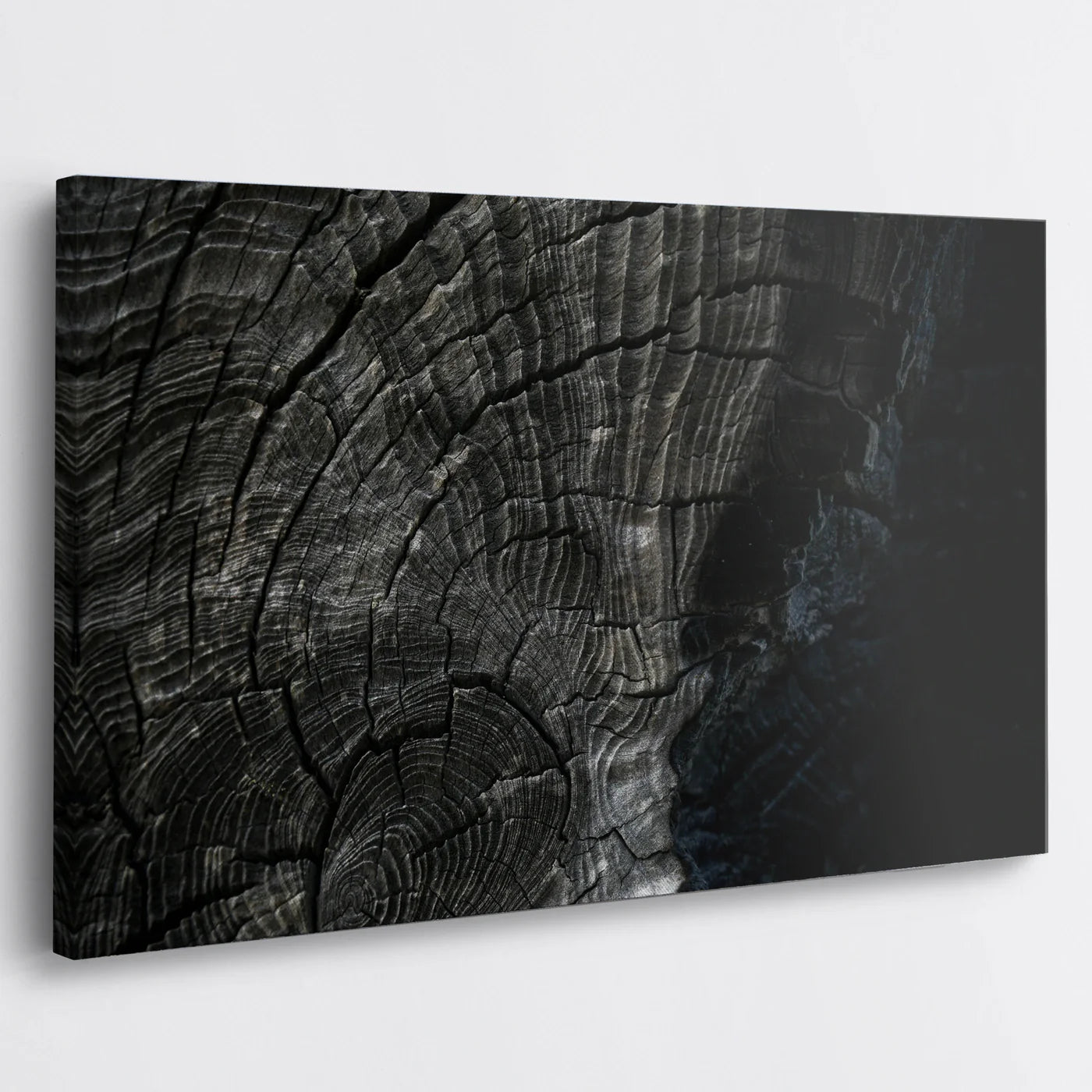 Tablou - Textures Naturale Unice Vedere Living