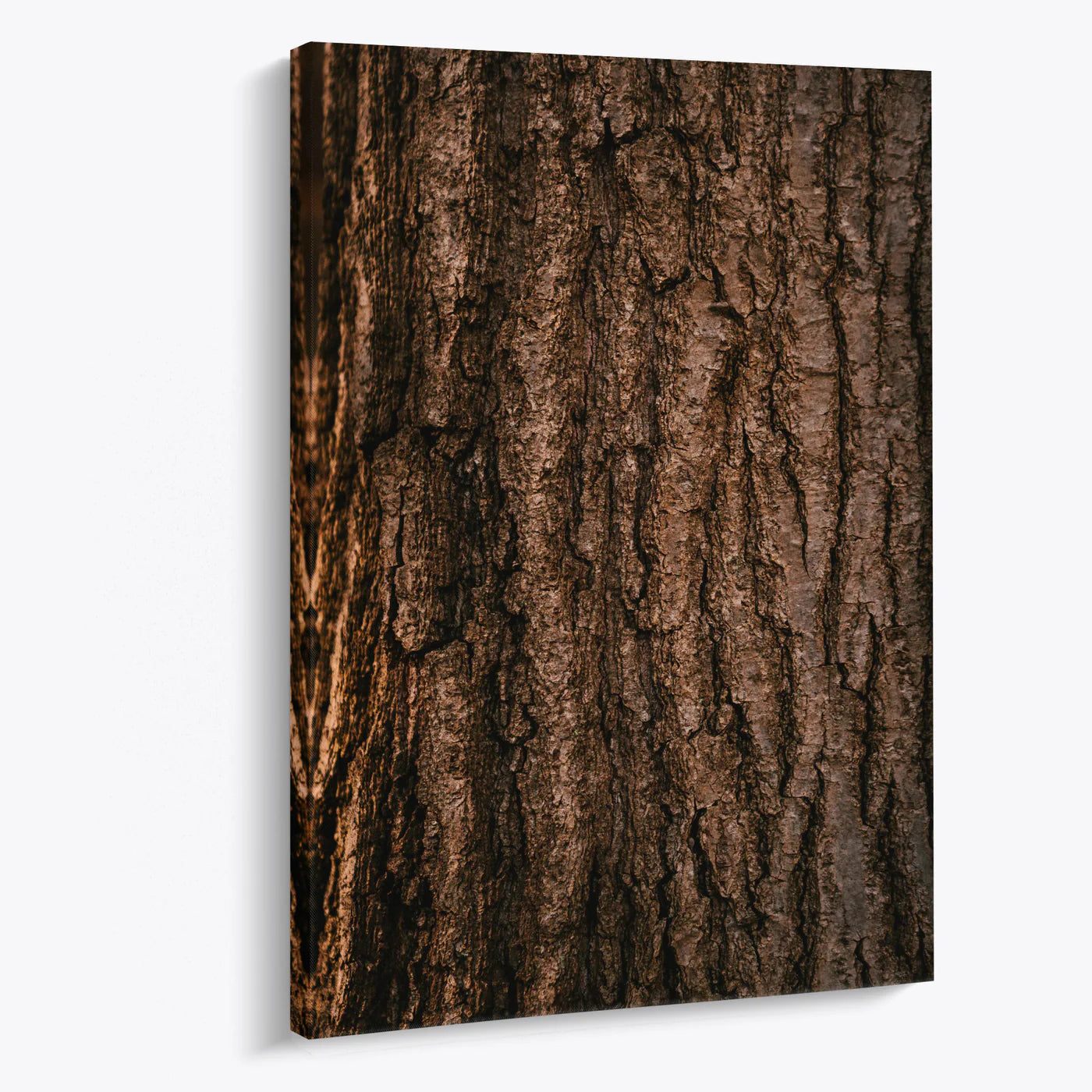 Tablou - Textura Naturii Vedere Living