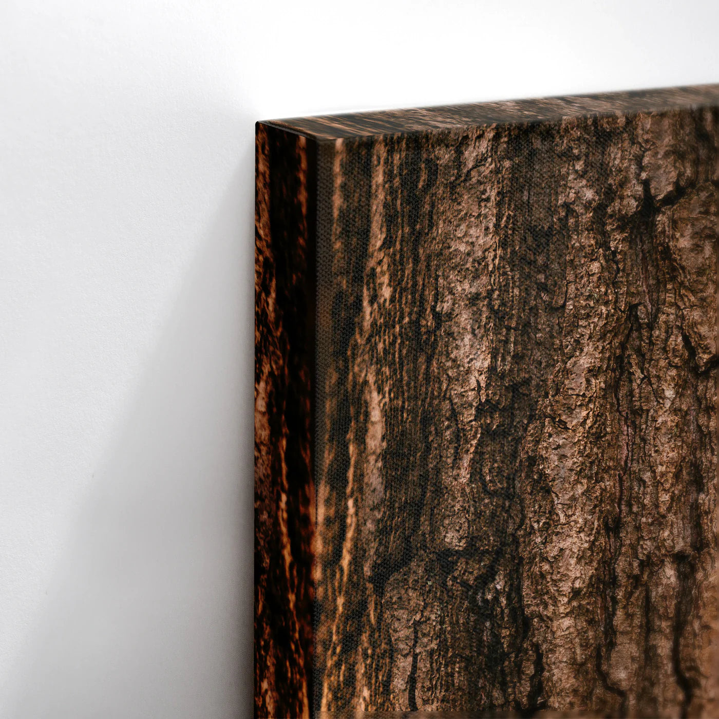 Tablou - Textura Naturii Vedere Dormitor