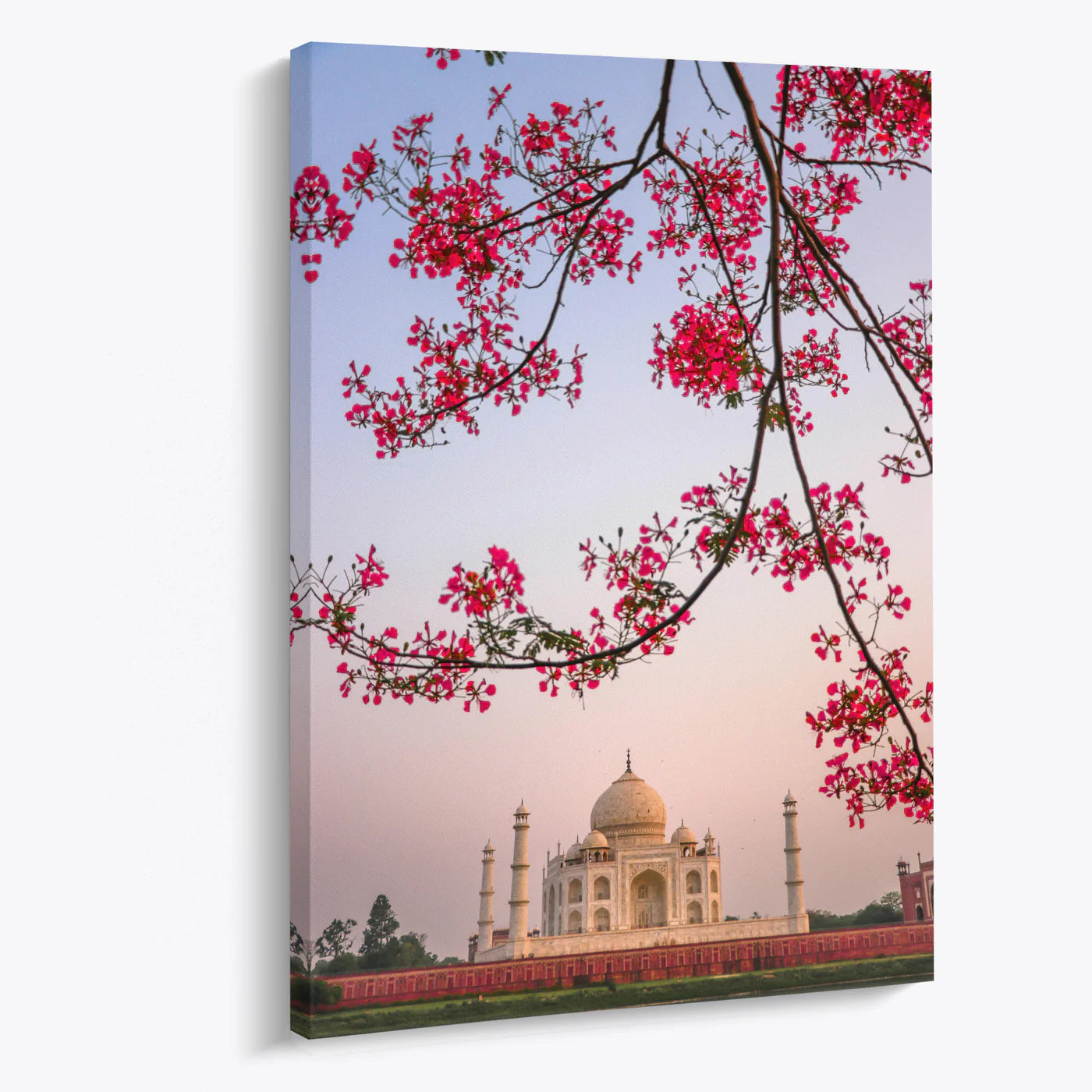 Tablou - Taj Mahal Splendor Vedere Living