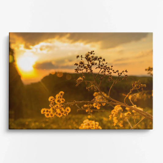 Tablou - Răsărit de Aur Vedere Fata