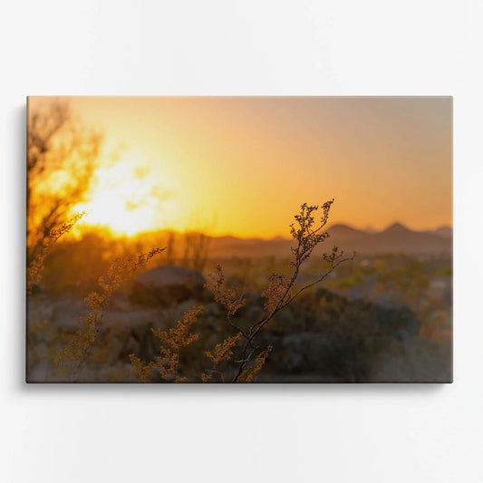 Tablou - Apus de Aur Vedere Fata