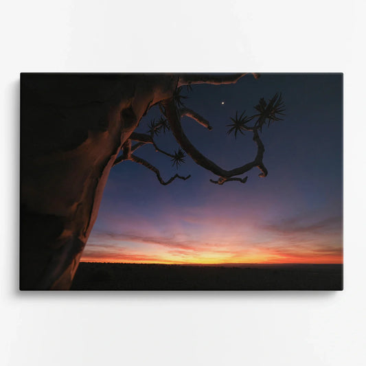 Tablou - Apus de Soare Seren Vedere Fata