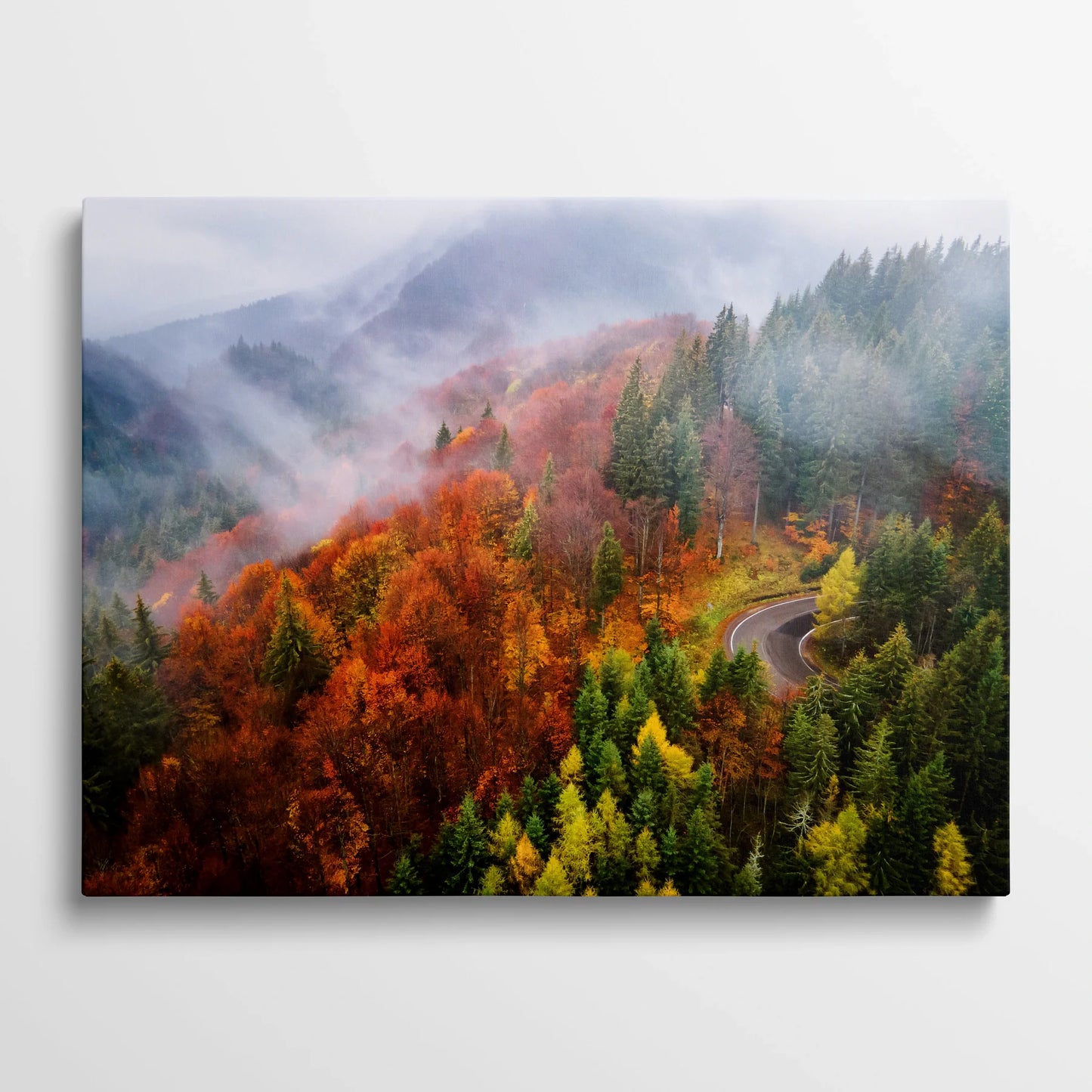 Tablou Peisaje - Pădurea Colorată de Toamnă - vedere din fata
