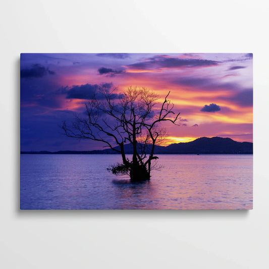 Tablou Peisaje - Apus Dramatic cu Arbore Singuratic - vedere din fata