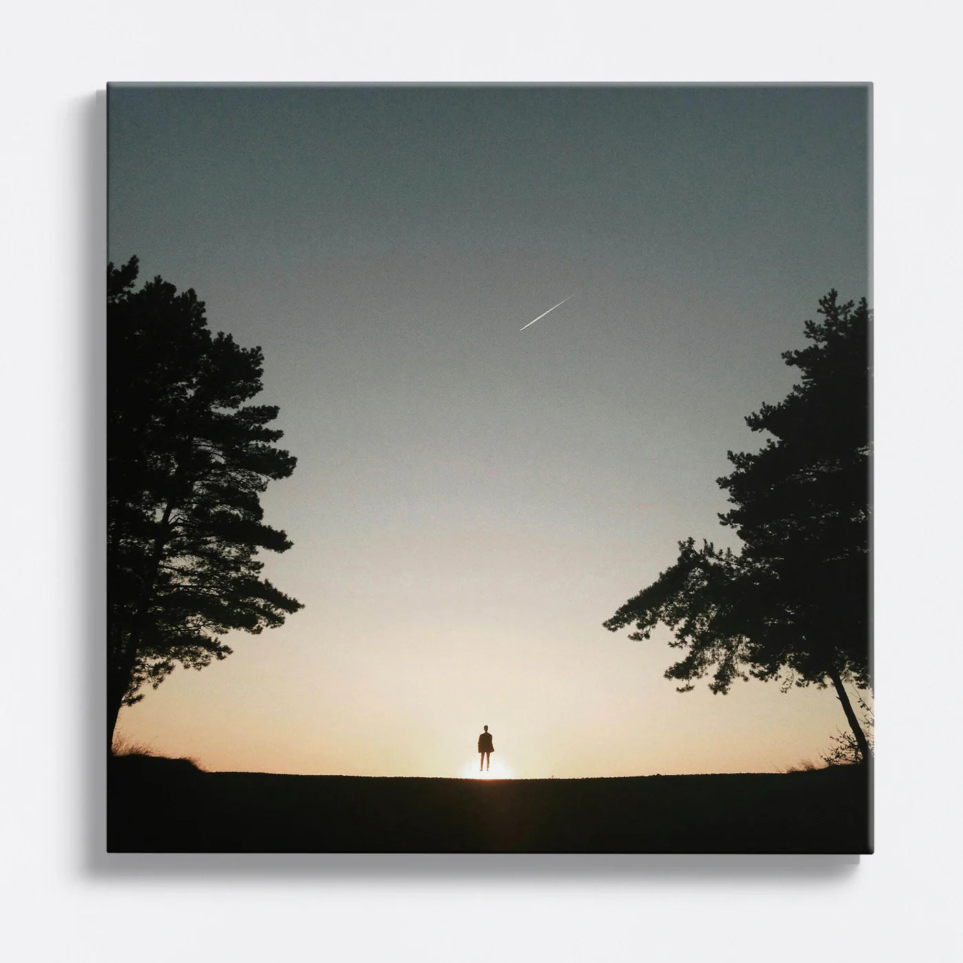 Tablou - Silhouette Serenity Vedere Fata