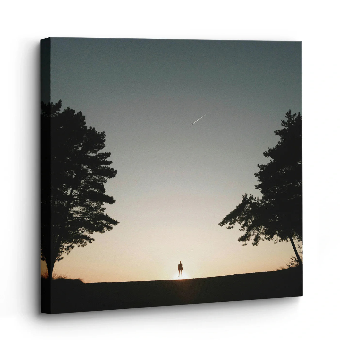 Tablou - Silhouette Serenity Vedere Living