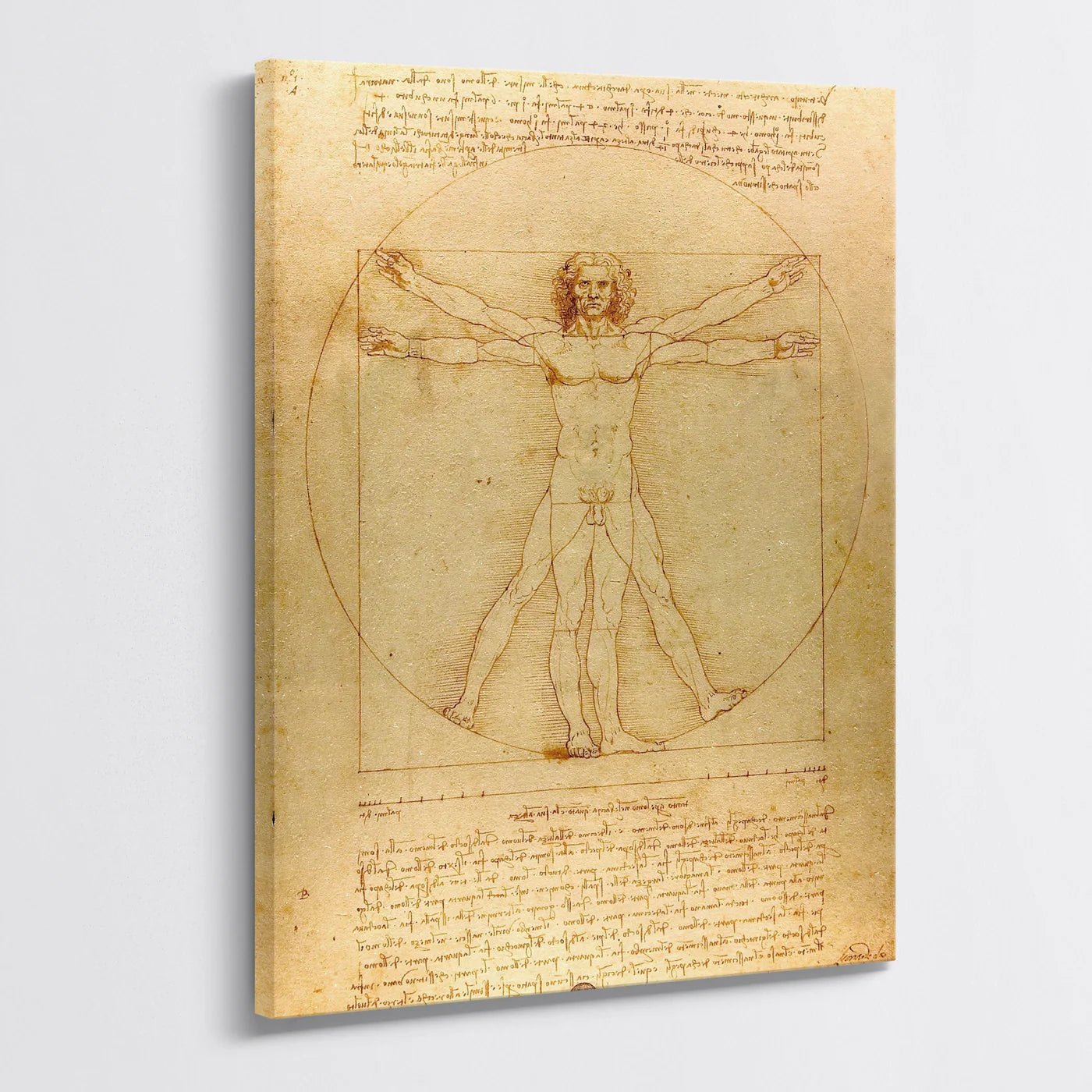 Tablou - Omul Vitruvian (Leonardo) Vedere Living