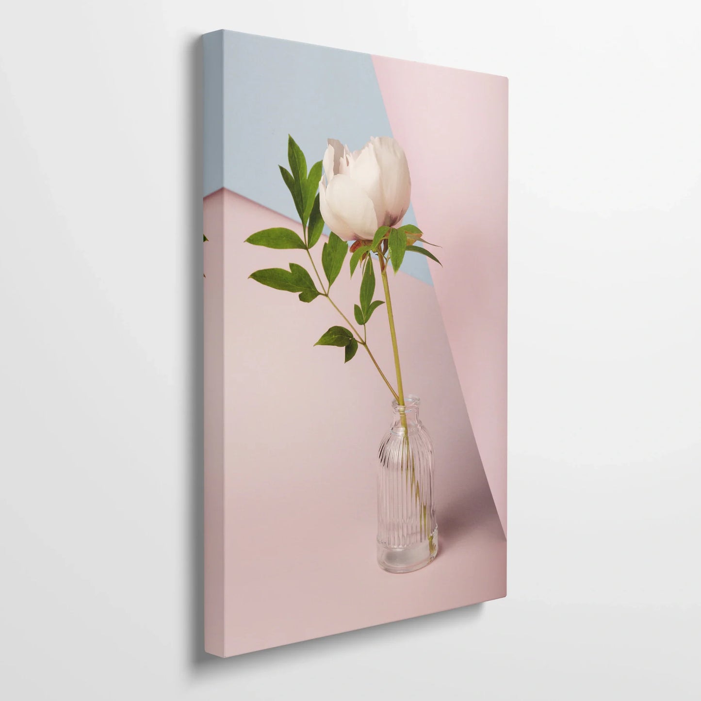 Tablou Flori - Bujori Eleganți Într-O Vază Modernă