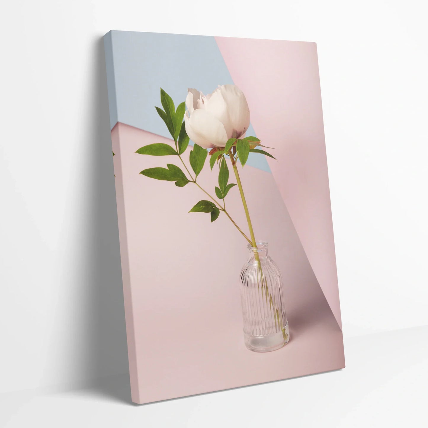 Tablou Flori - Bujori Eleganți Într-O Vază Modernă