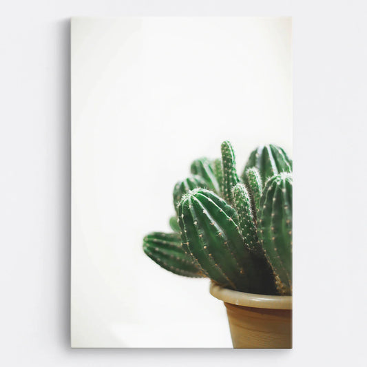 Tablou - Cactus Elegant Vedere Fata