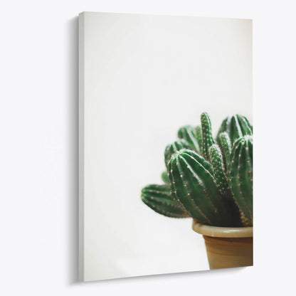 Tablou - Cactus Elegant Vedere Living
