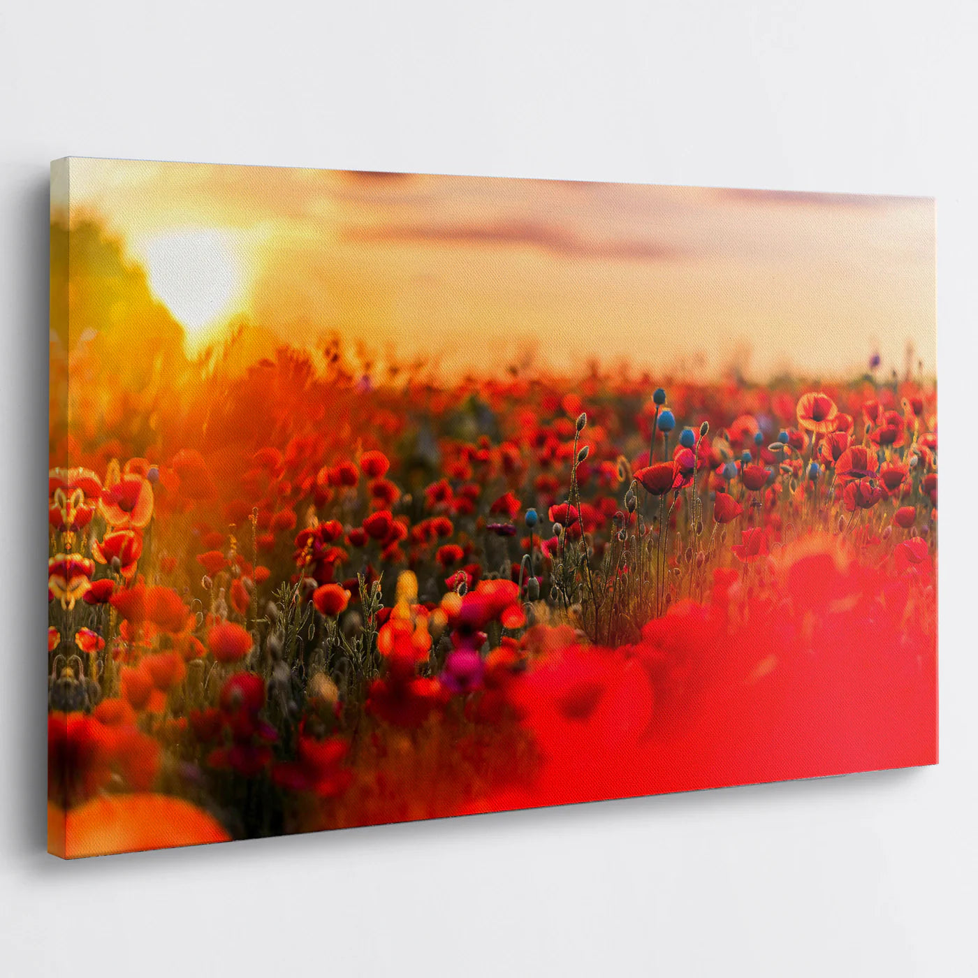 Tablou - Câmp de Pape Vedere Living