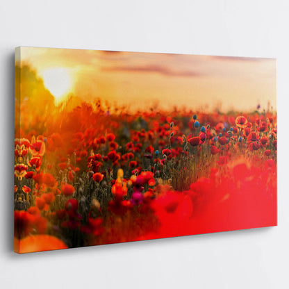 Tablou - Câmp de Pape Vedere Living