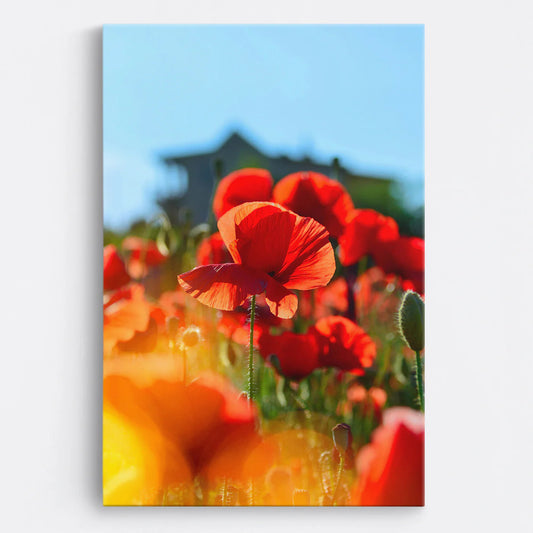 Tablou - Red Poppy Dream Vedere Fata
