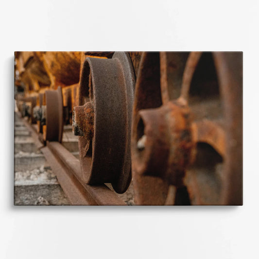 Tablou - Rostul Trecutului Vedere Fata