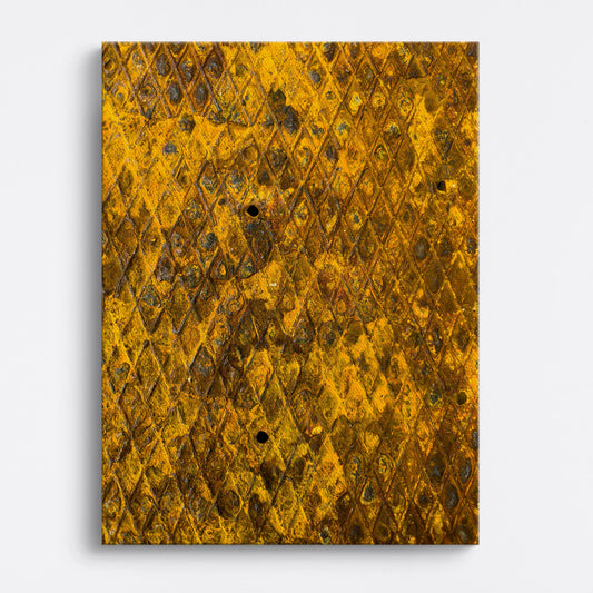 Tablou - Strălucire Aurie Vedere Fata