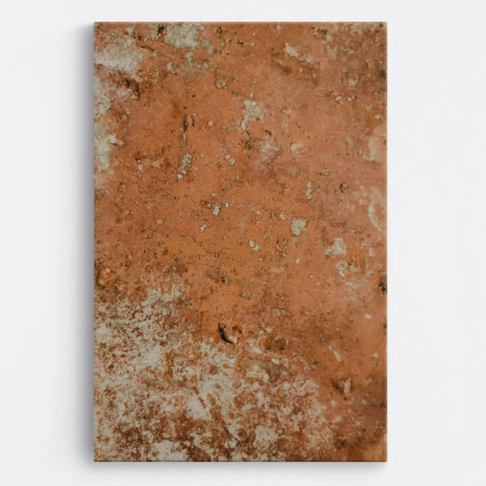 Tablou - Armonie Ocher Vedere Fata