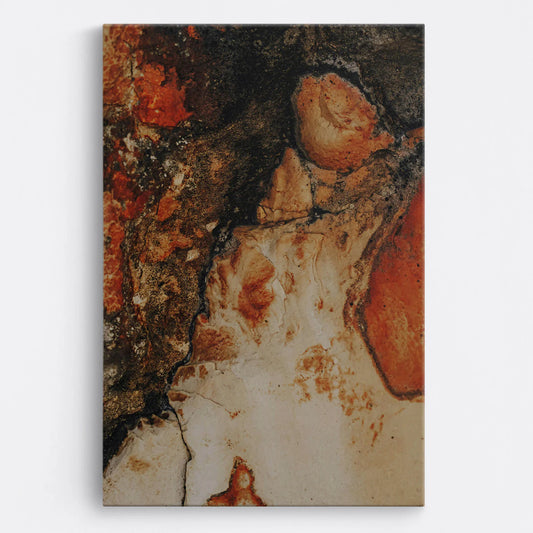 Tablou - Texturi Încântătoare Vedere Fata