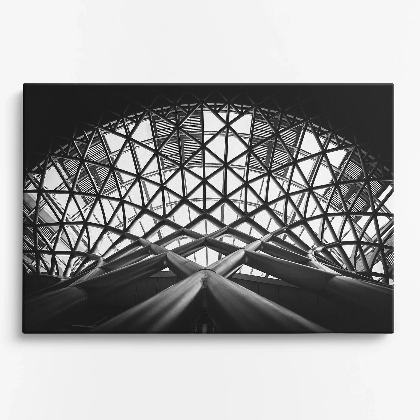 Tablou - Tensile Elegance Vedere Fata