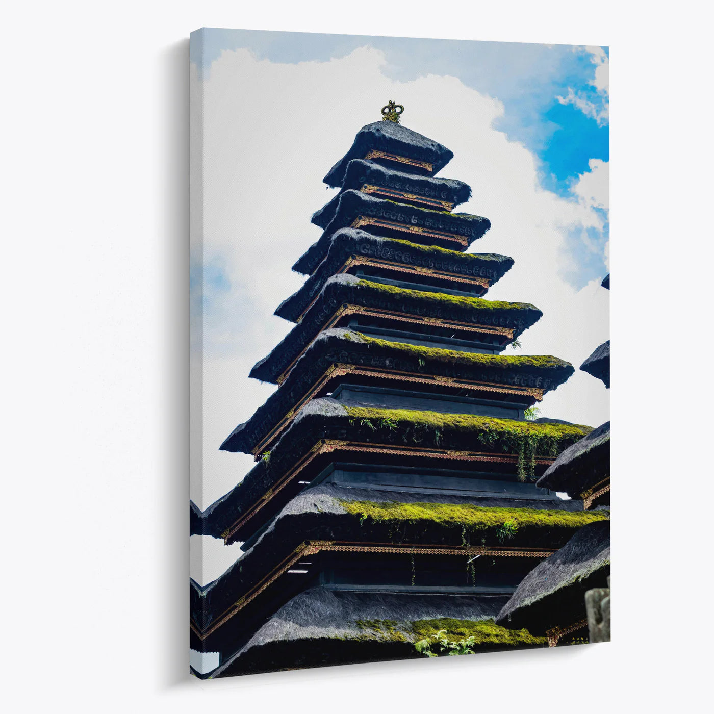Tablou - Contemporan Oriental Vedere Living