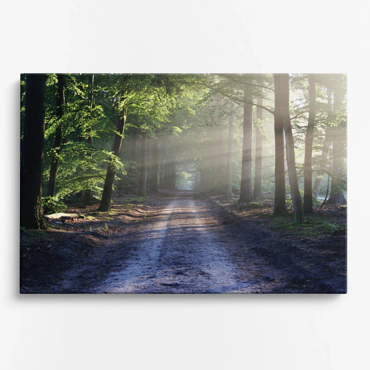 Tablou - Oază Verde Luminată Vedere Fata