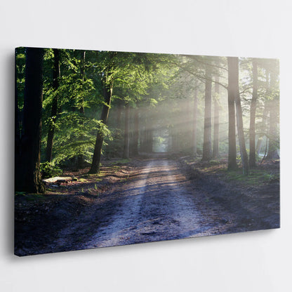 Tablou - Oază Verde Luminată Vedere Living