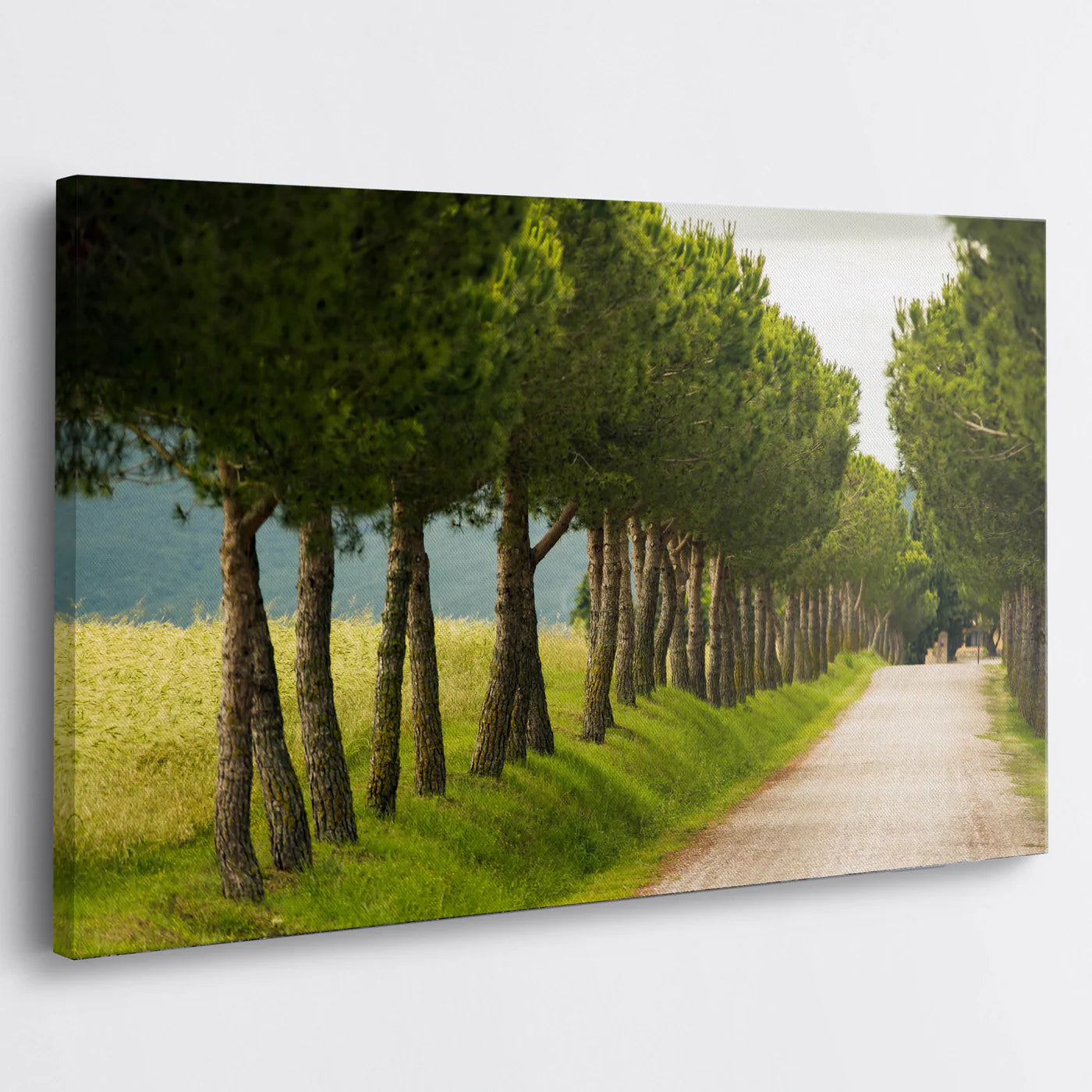 Tablou - Calea Naturii Vedere Living