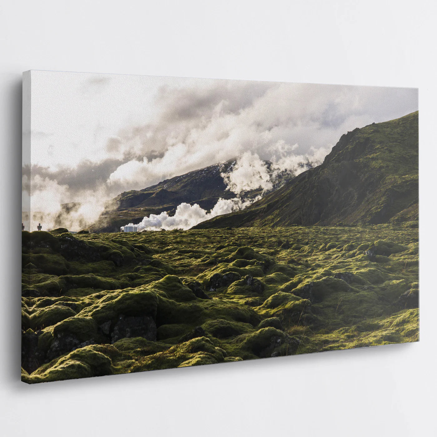 Tablou - Paysages EnvoÃ»tants Vedere Living