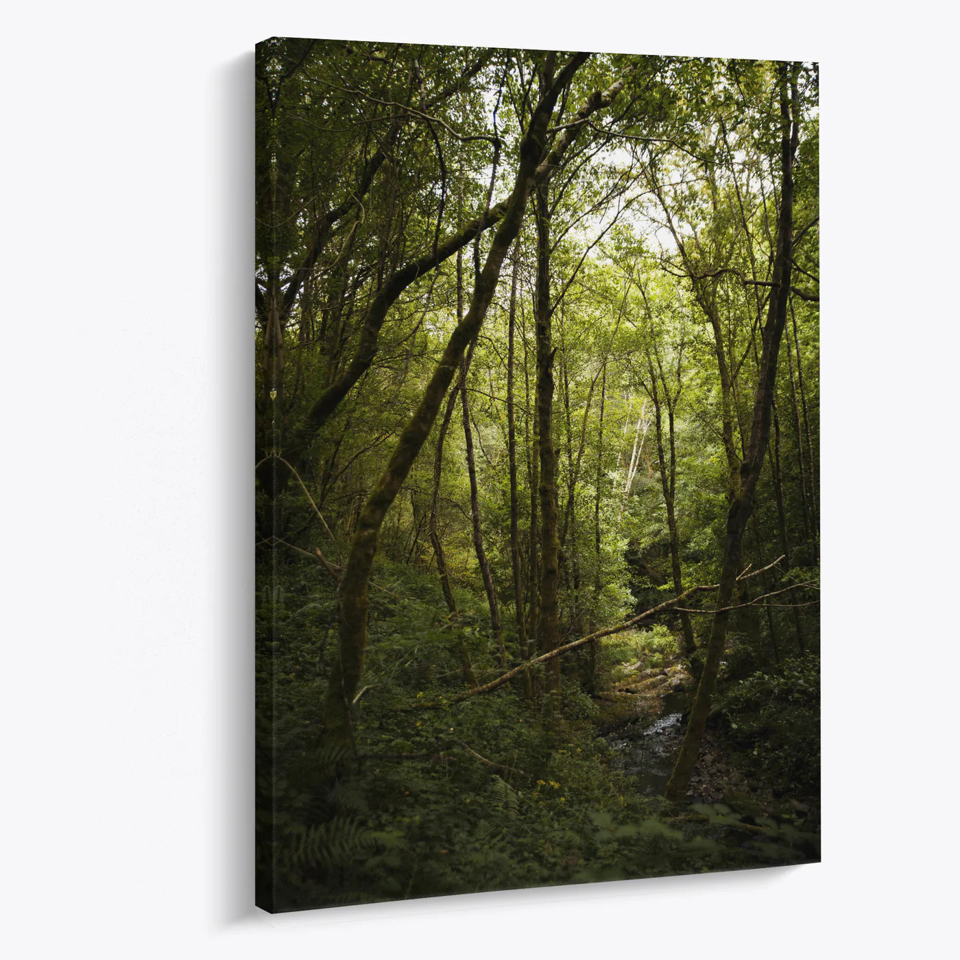 Tablou - Peisaj Forestier Vedere Living