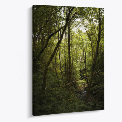 Tablou - Peisaj Forestier Vedere Living