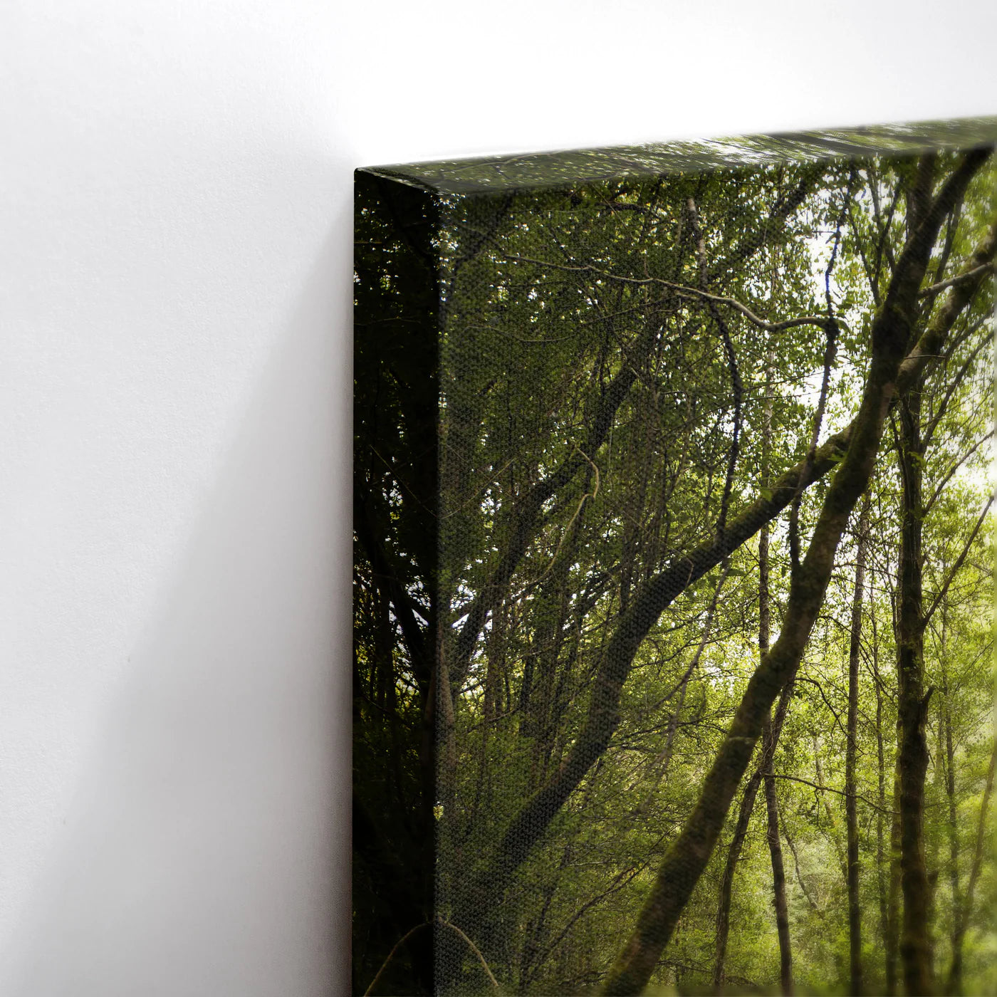 Tablou - Peisaj Forestier Vedere Dormitor