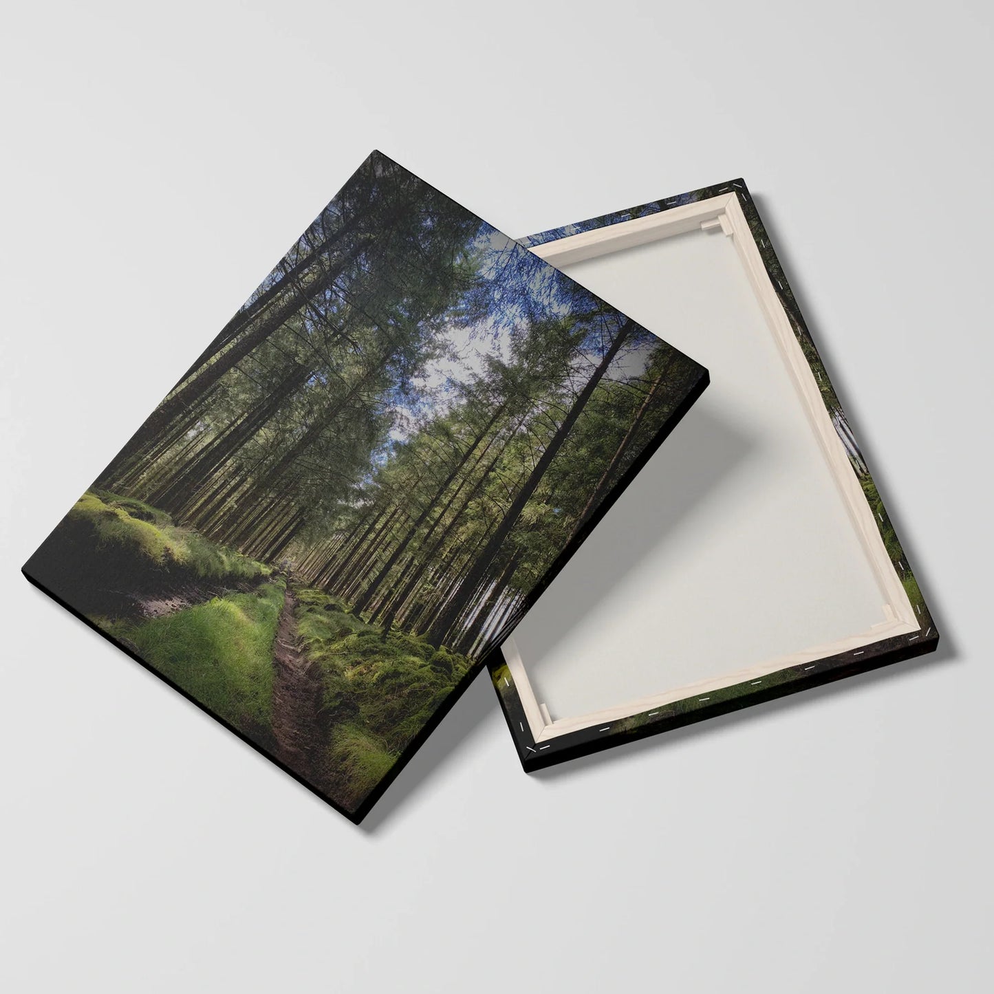 Tablou Peisaje - Calea Din Pădure - vedere fata verso